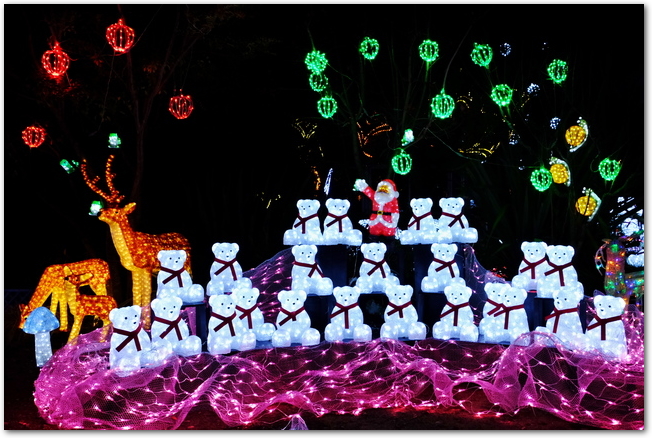  サンタとトナカイとくまがライトアップされたクリスマスの神戸イルミナージュ