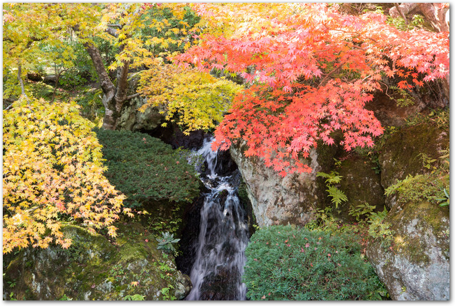 箱根美術館の庭園にある滝と紅葉