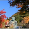 鎌倉の散策コース 紅葉を見るには？ツアーは？温泉は？