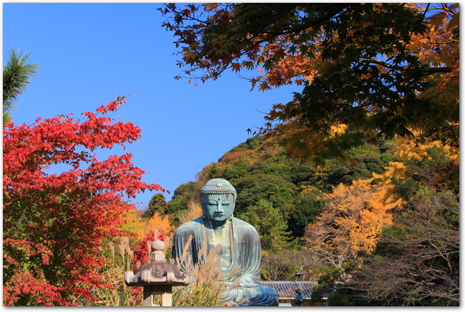 鎌倉の大仏と紅葉の様子