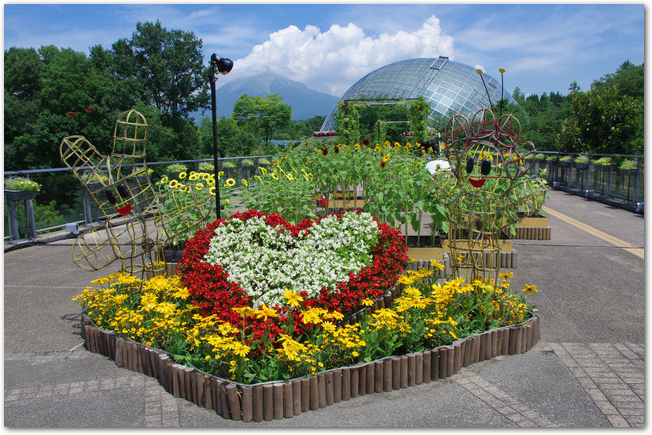 鳥取花回廊の花壇とドームの風景