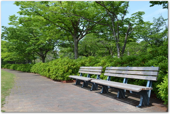 ライラックの咲いている川下公園にある白いベンチ