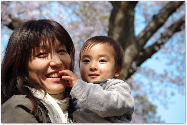 桜の花を見る母親と抱っこされた男の子