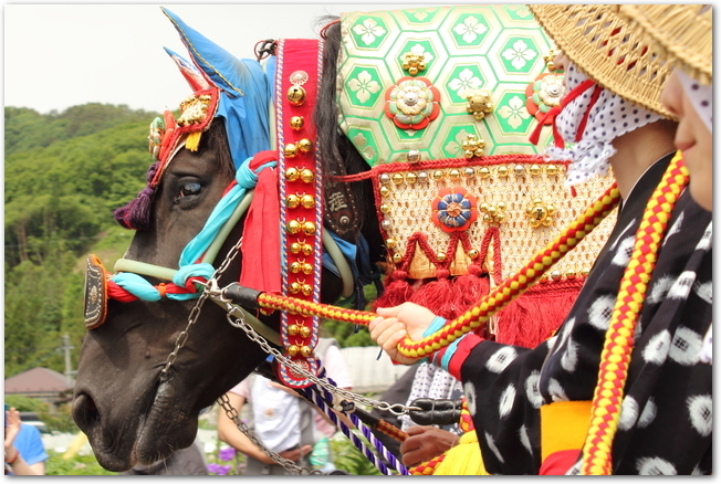 チャグチャグ馬コの伝統的な衣装をまとう人と馬