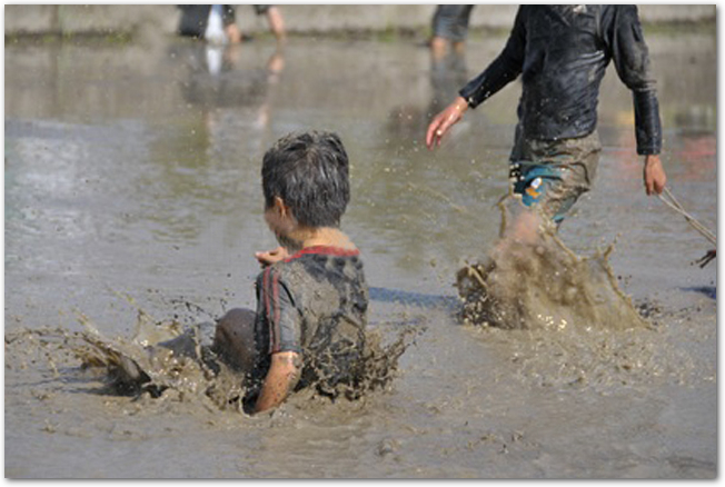 水田で泥だらけになって遊ぶ子どもたちの様子