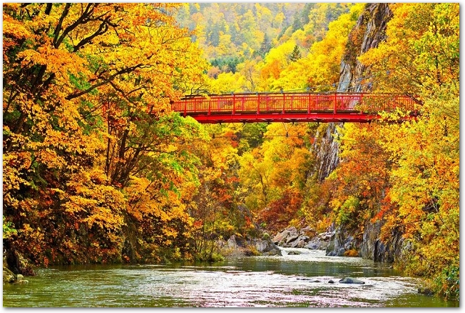 定山渓の紅葉した木々と赤い橋