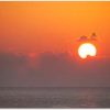 宗谷岬で日の出が見たい！初日の出イベントと初詣のおすすめ情報！